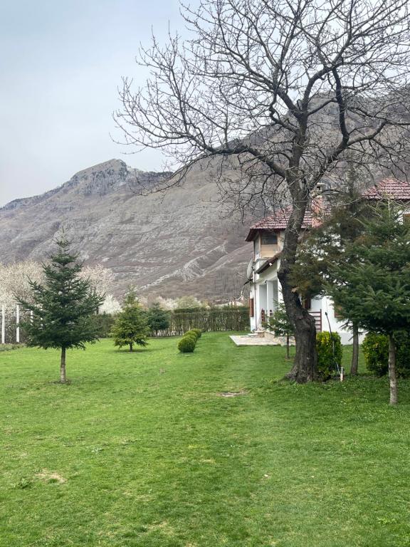 una casa en un campo con una montaña en el fondo en Paja Guesthouse - Camping en Bogë