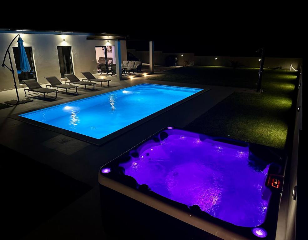 a large swimming pool with a purple tub in a yard at Villa Gemini in Zadar