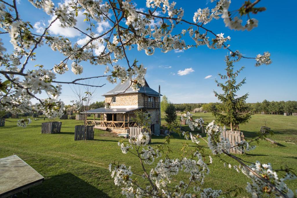 Green Oak Villa - Housity