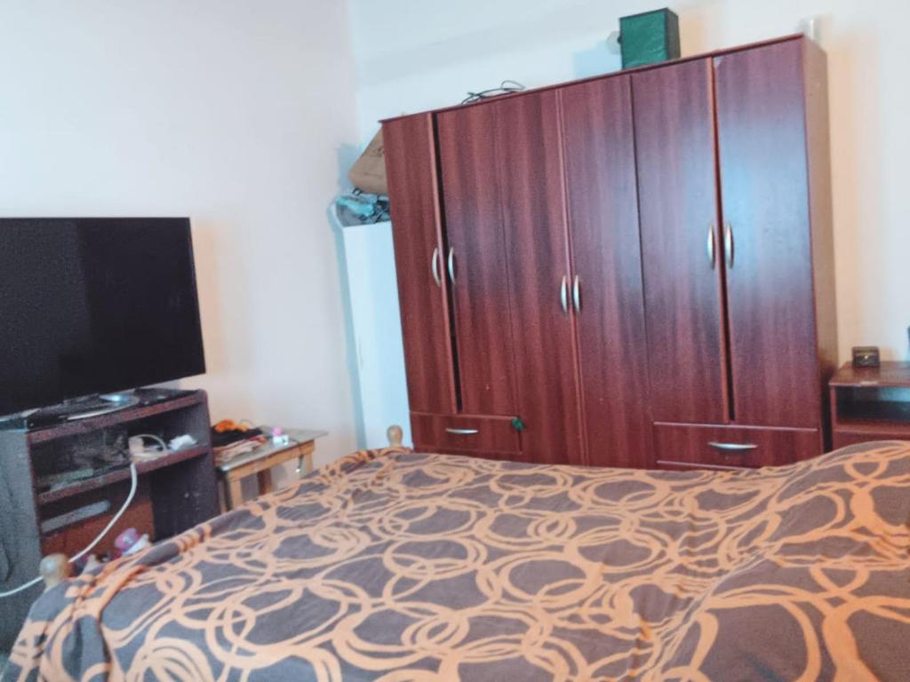 1 dormitorio con 1 cama y TV de pantalla plana en El Amanecer en Ushuaia