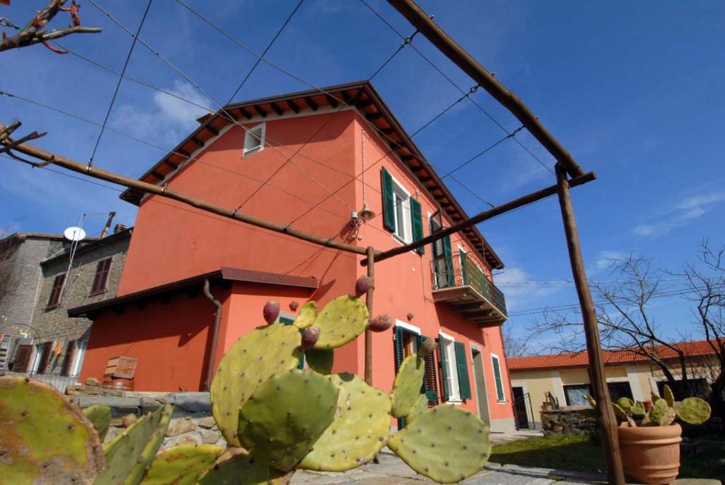 Uma casa com um cacto à frente. em CodeminCampiglia Casa Vista Mare con Giardino em Campiglia