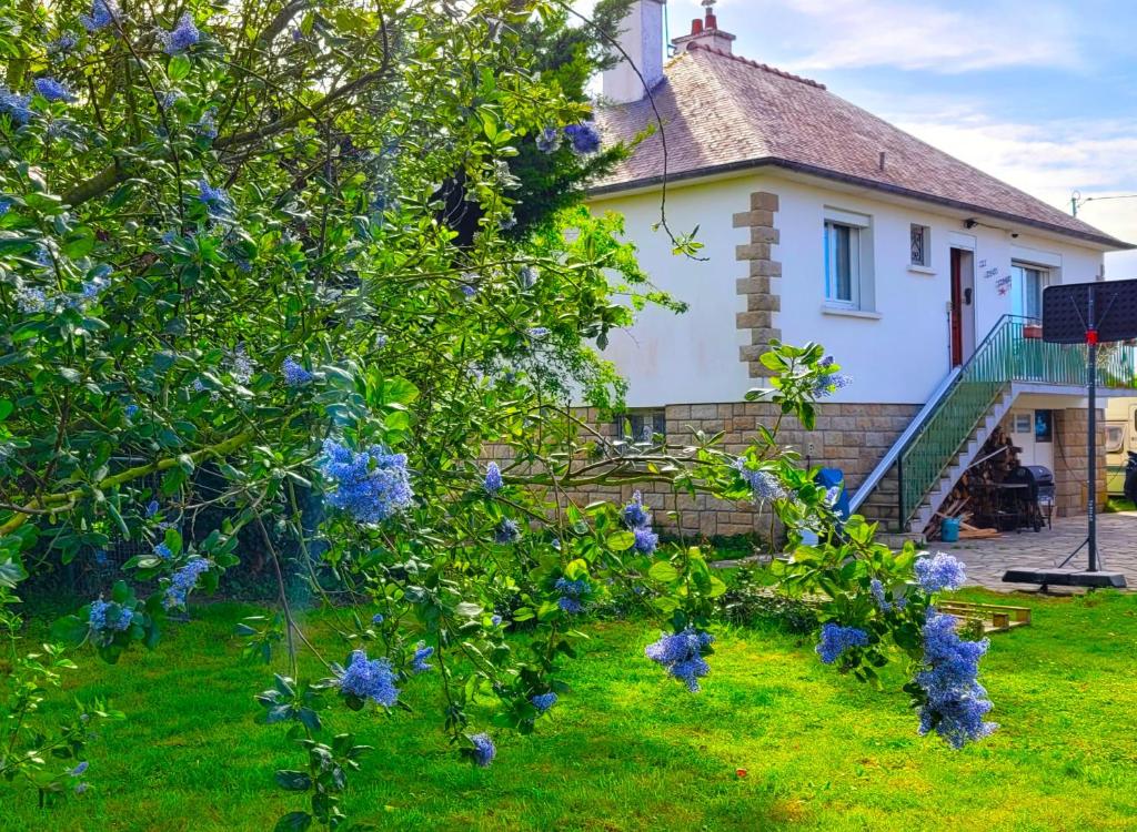 una casa con flores azules en el patio en Belle maison de vacances entre Saint-Malo et Mont-Saint-Michel. Le Clos Fleuri, en Mont-Dol