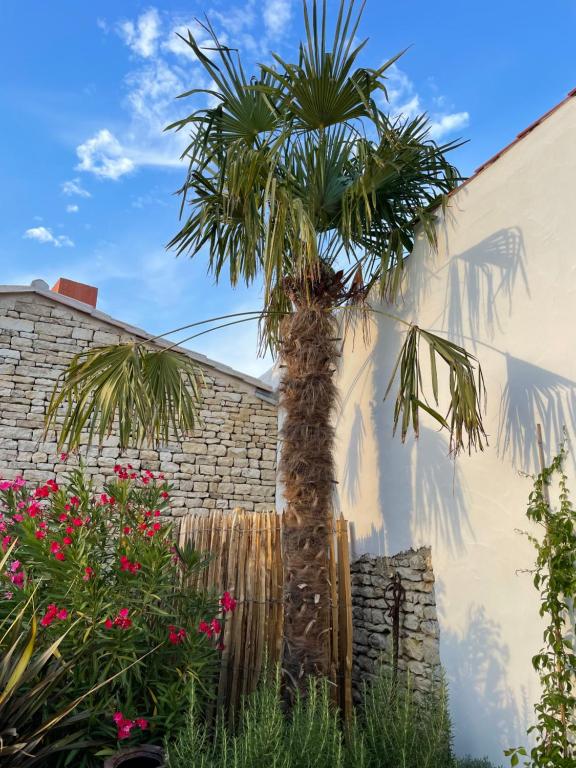 Zahrada ubytování Maisons 322 - Maison La Flamboyante