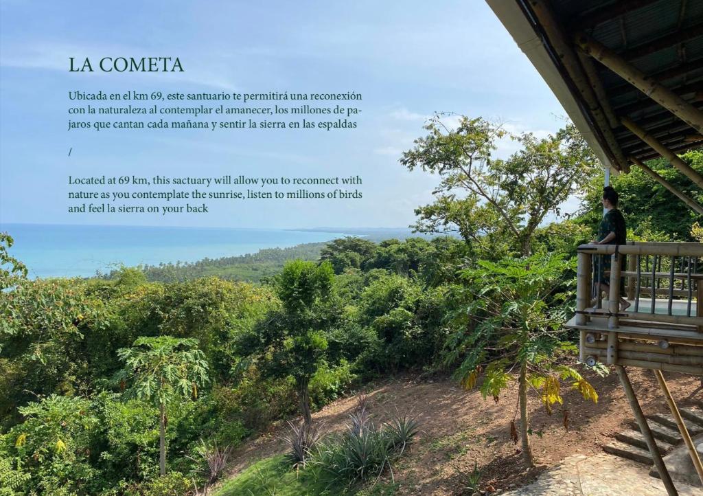 帕洛米諾的住宿－La Cometa - Palomino，站在森林的 ⁇ 望处的人