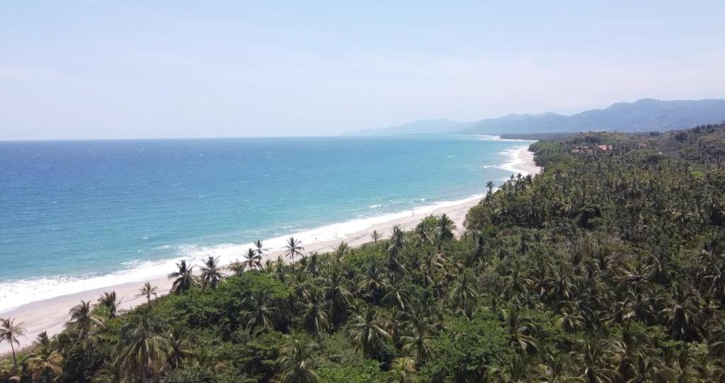 uma vista para uma praia com palmeiras e para o oceano em Juanchos House Hostel Tayrona em Los Naranjos