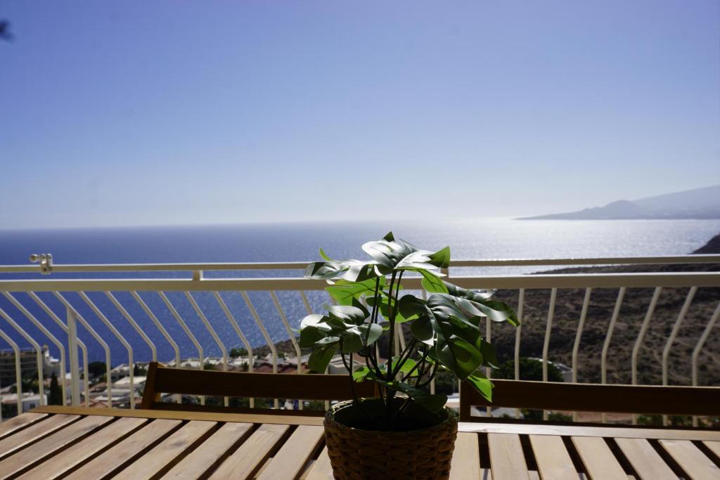 a potted plant sitting on a wooden table on a balcony at Sea La Vie Tabaiba - Piscina, Parking & Tenis in Tabaiba