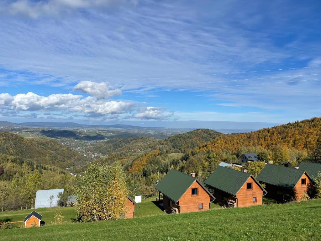 a group of houses on top of a hill at Domki Za Górą in Jazowsko