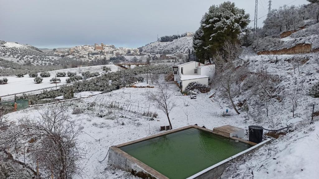 una piscina de agua en un campo cubierto de nieve en Paraje fuente del pintor, en Iznalloz