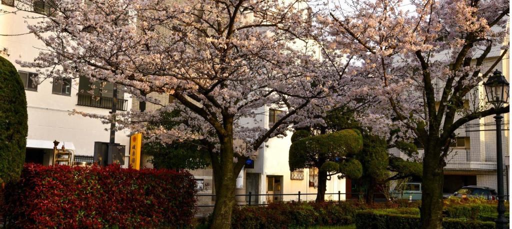 Zahrada ubytování 媛楽園 松山中心地及び道後温泉に近い家族やグループ旅行の多人数が泊まれる快適な宿