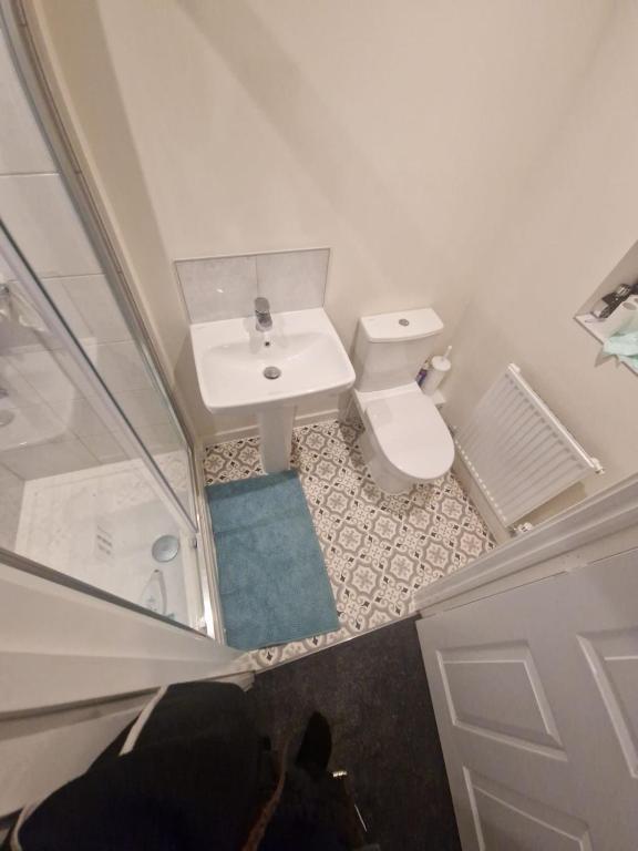 mała łazienka z umywalką i toaletą w obiekcie Guest Village w mieście Hull
