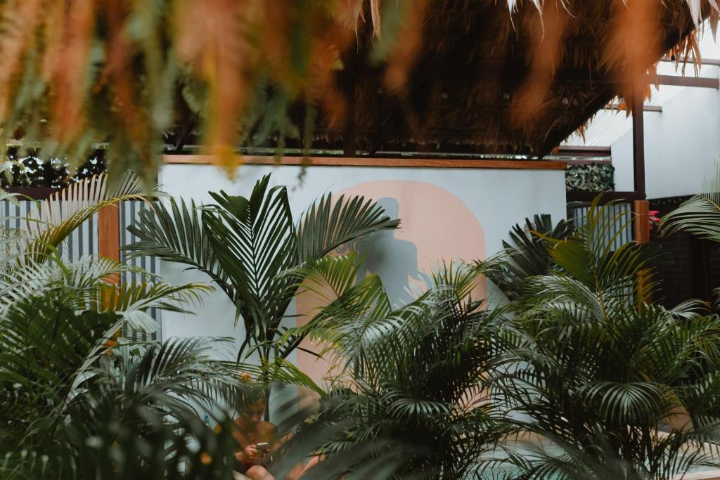 Сад в La Tribu Boutique Hostel for women