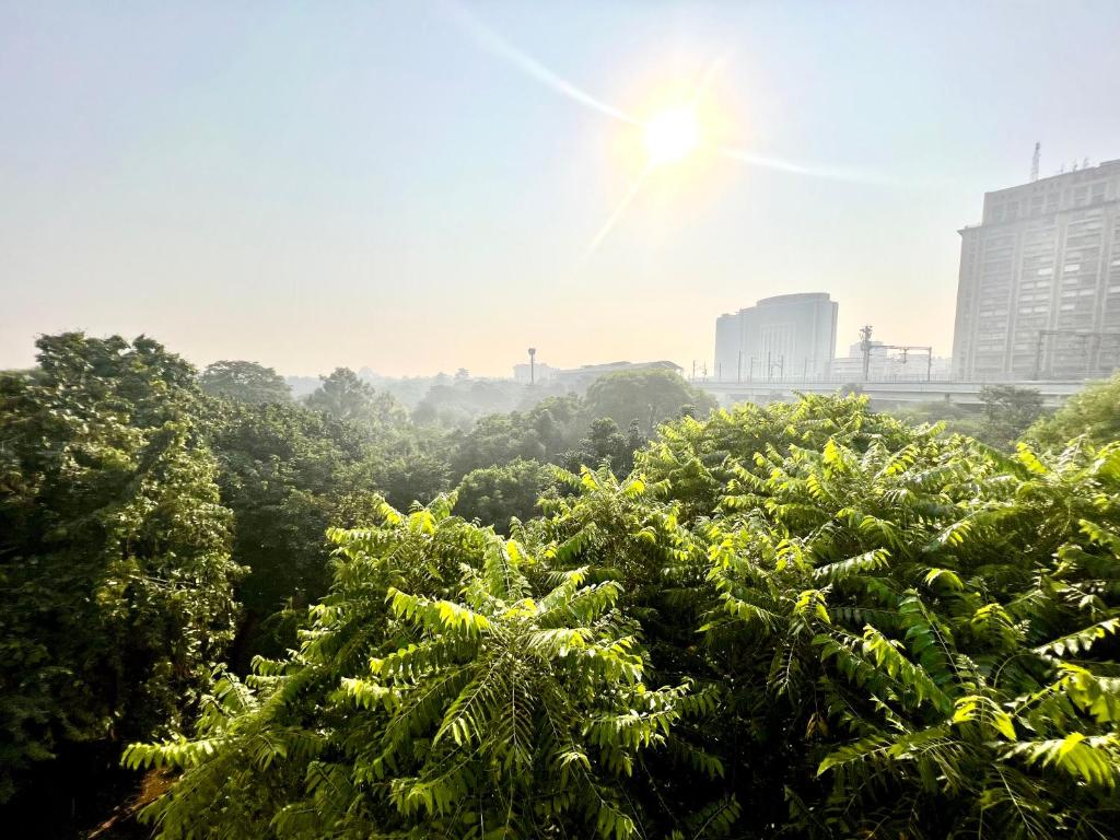 a group of trees with the sun in the background at House Of Comfort Delhi in New Delhi