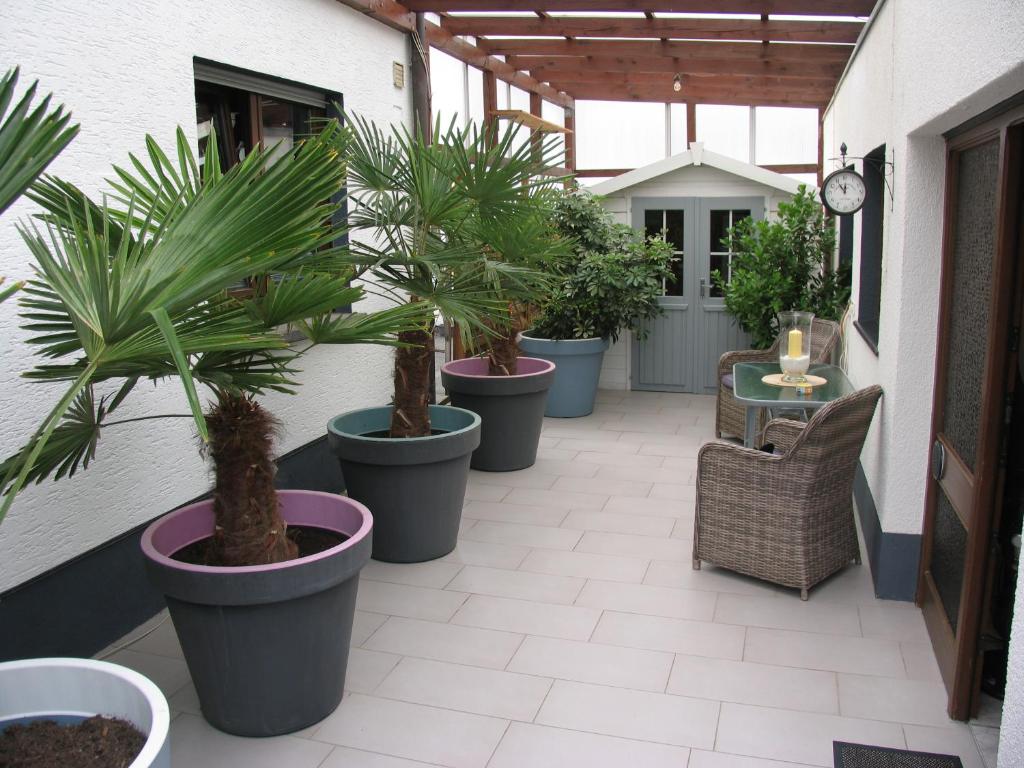 um grupo de vasos de plantas sentados num pátio em Ferienwohnung Pargen em Bullay