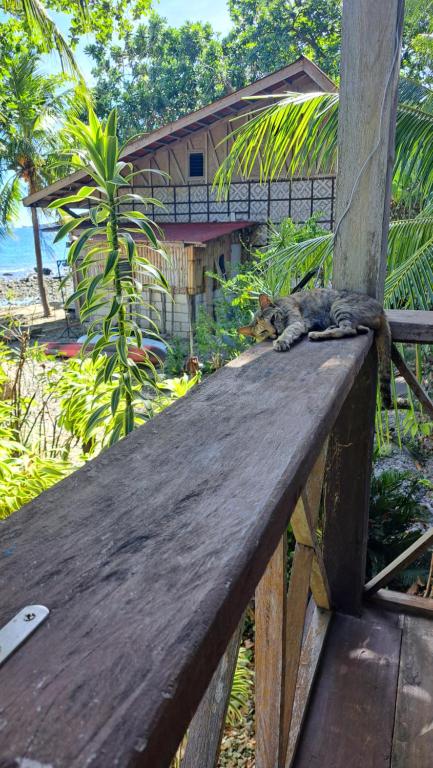 a cat laying on top of a wooden fence at Paseo Del Mar Seaside Dive Inn in Jagna