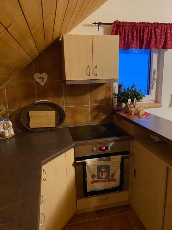 Kuchyň nebo kuchyňský kout v ubytování Apartman U vleku