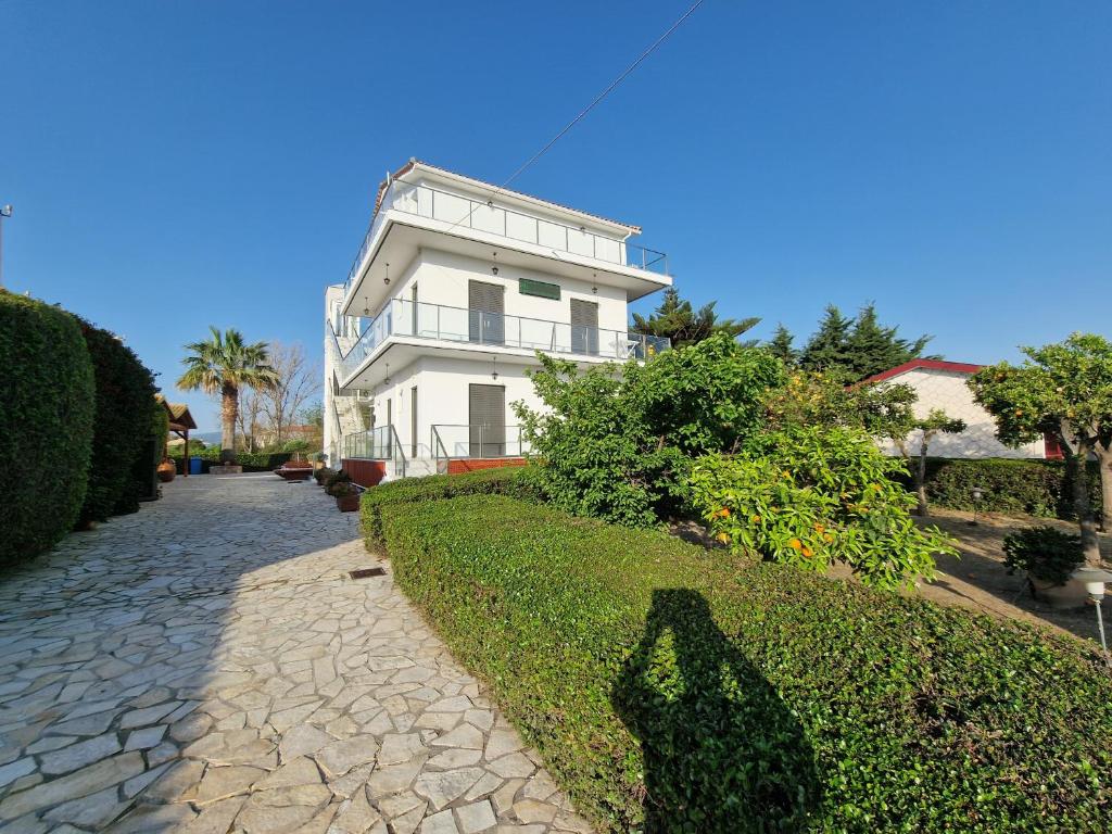 una grande casa bianca con un sentiero davanti di Pettas Apartments a Città di Zante