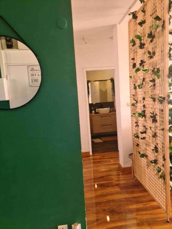 un pasillo con una pared verde y un espejo en Grand et bel appartement de 2 chambres chez Cyn, en Salon-de-Provence