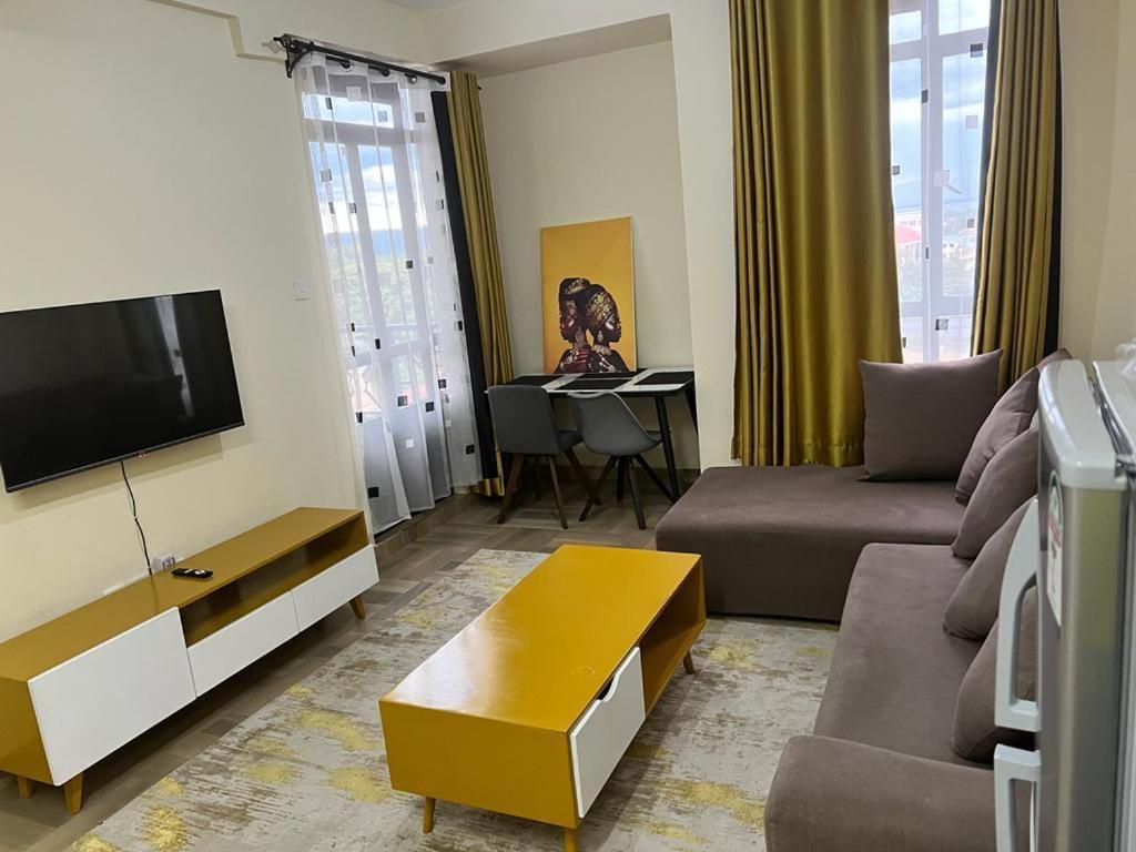 SuperhostHomes AirBnbs Nakuru في ناكورو: غرفة معيشة مع أريكة وتلفزيون