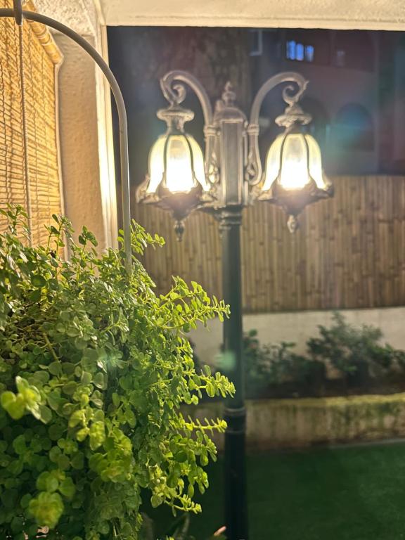 Zahrada ubytování Hostell One - A complete backpacker & Coworking Hub
