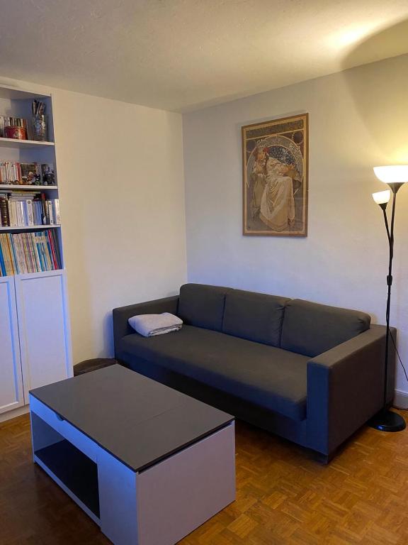 un salon avec un canapé et une table basse dans l'établissement Tout confort, à Les Pavillons-sous-Bois