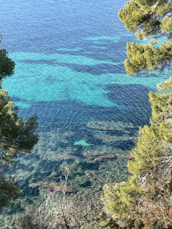 une vue aérienne de l'eau avec des arbres dans l'établissement Le Rayol, à Rayol-Canadel-sur-Mer