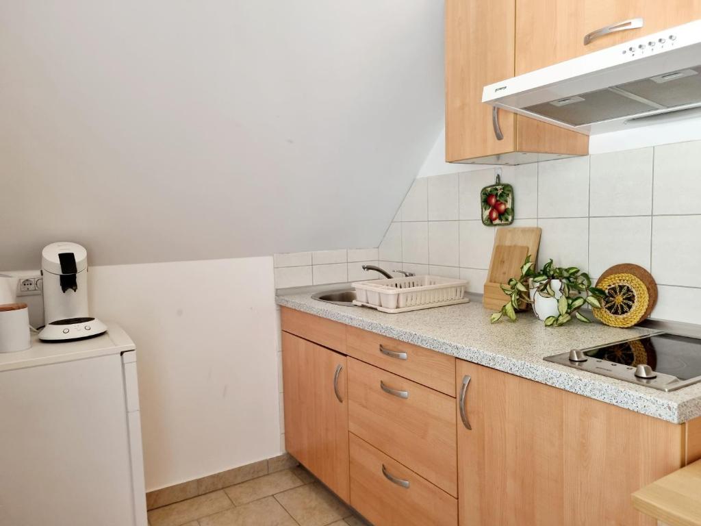 Kuchyň nebo kuchyňský kout v ubytování Apartmaji pri Ticelnu