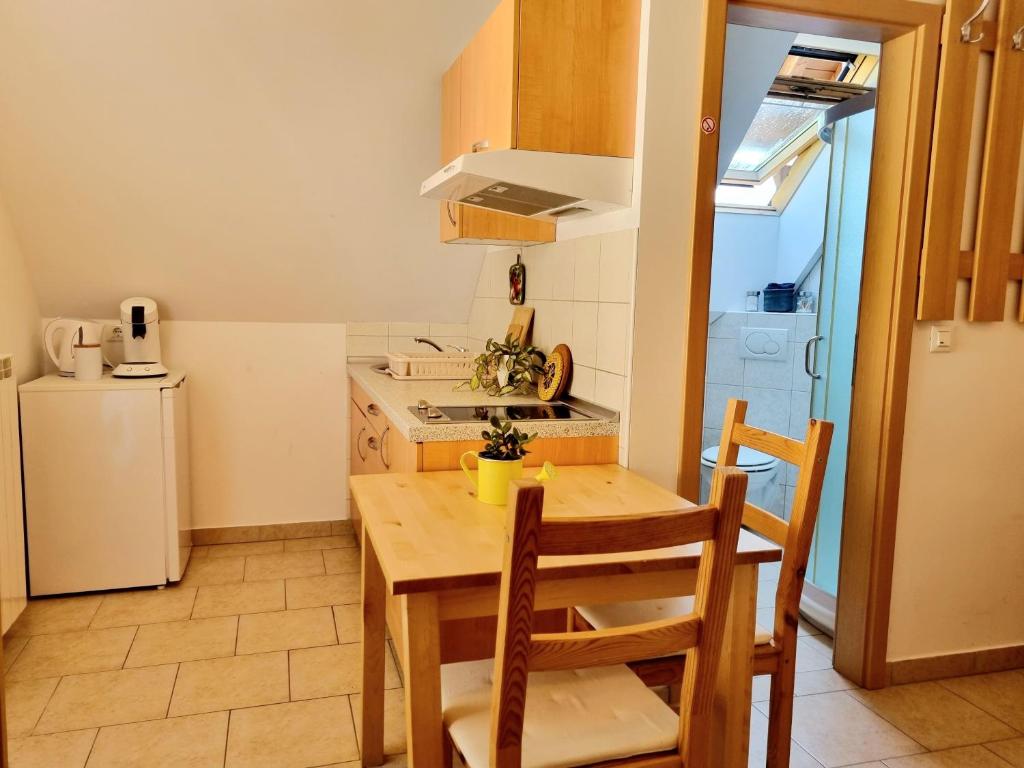 Kuchyň nebo kuchyňský kout v ubytování Apartmaji pri Ticelnu