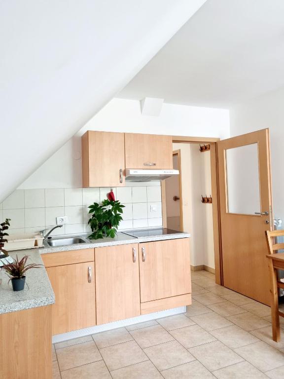 Kuchyň nebo kuchyňský kout v ubytování Apartmaji pri Ticelnu