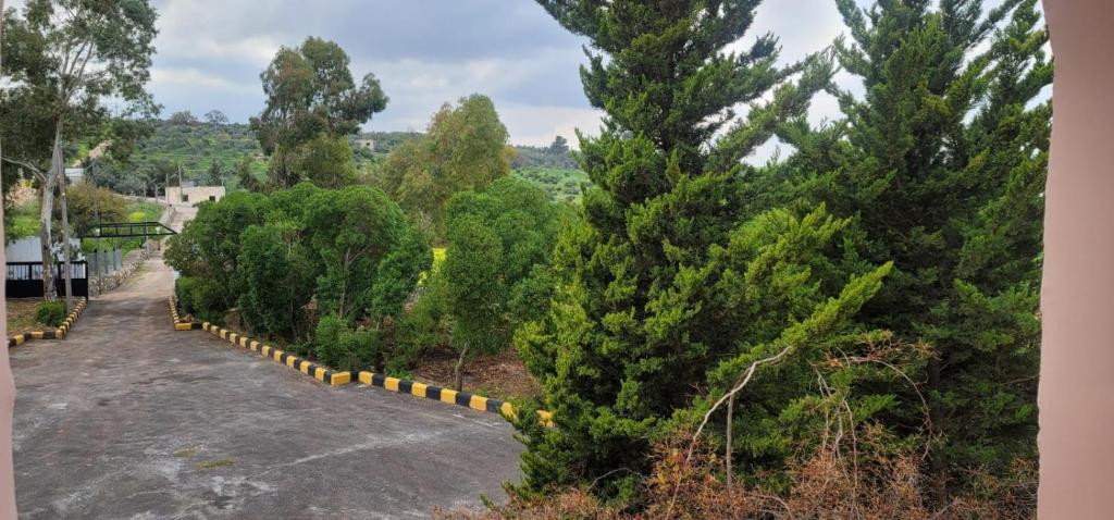 una fila de árboles en un parque con una carretera en Um Al namel, en Irbid