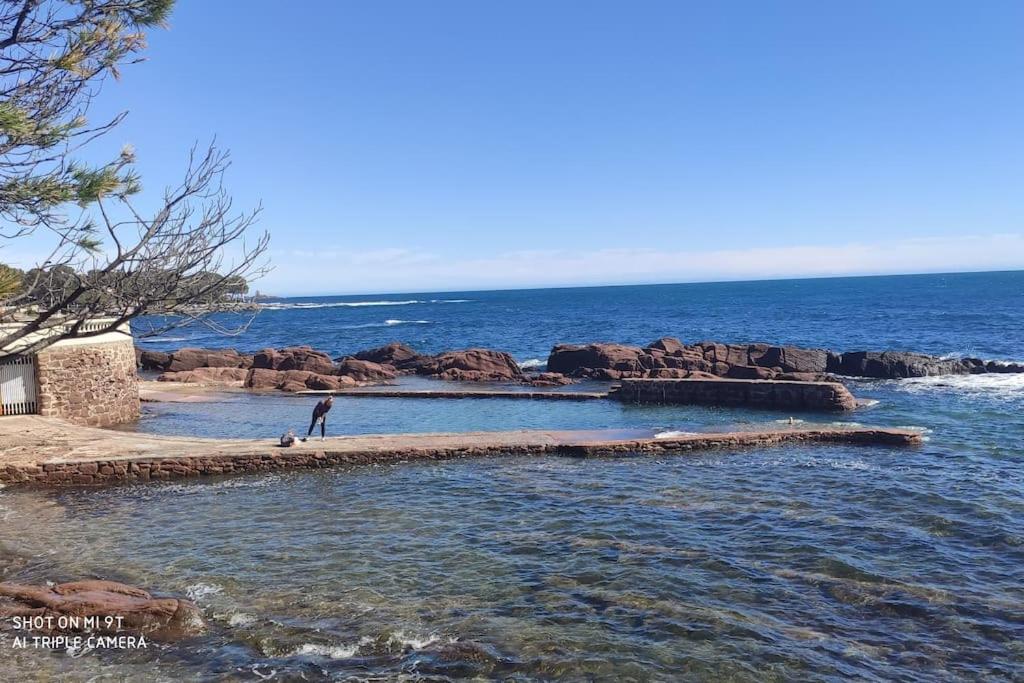 une personne debout dans l'eau près de l'océan dans l'établissement Appartement 4 pers au calme à boulouris, à Saint-Raphaël