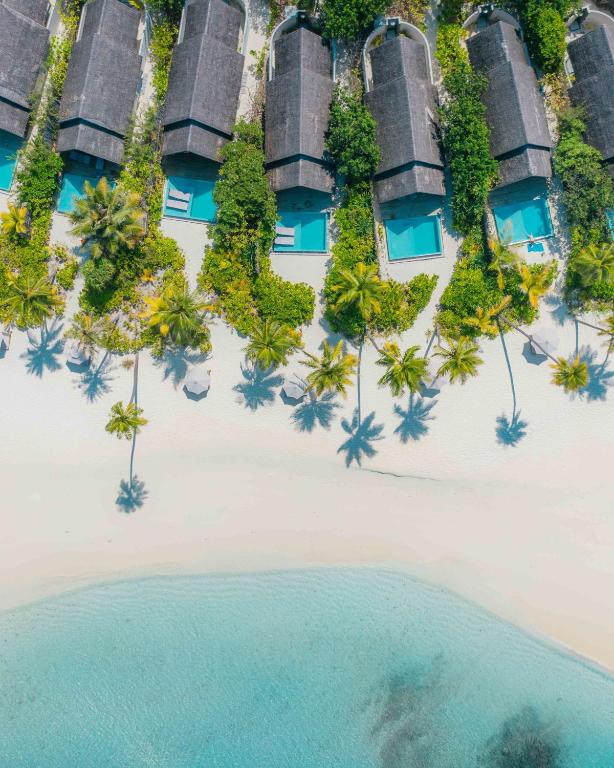 Bazén v ubytování Fushifaru Maldives with 50 percent off on sea plane roundtrip 04 nights & above nebo v jeho okolí