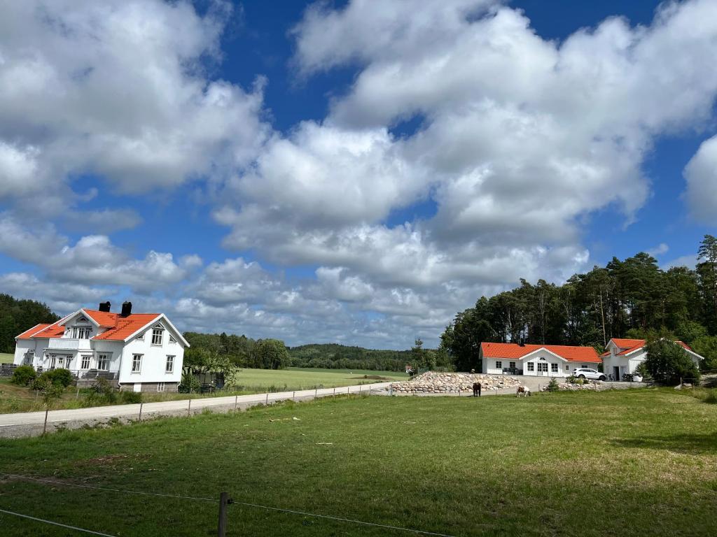 Příroda nedaleko prázdninového domu