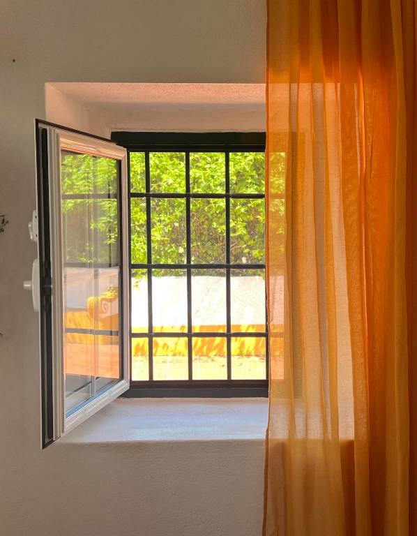 Qta Casa Seleiras - Guest House - 9