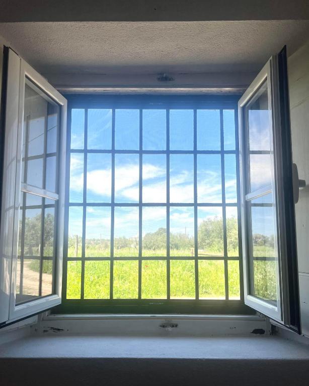 Qta Casa Seleiras - Guest House - 18