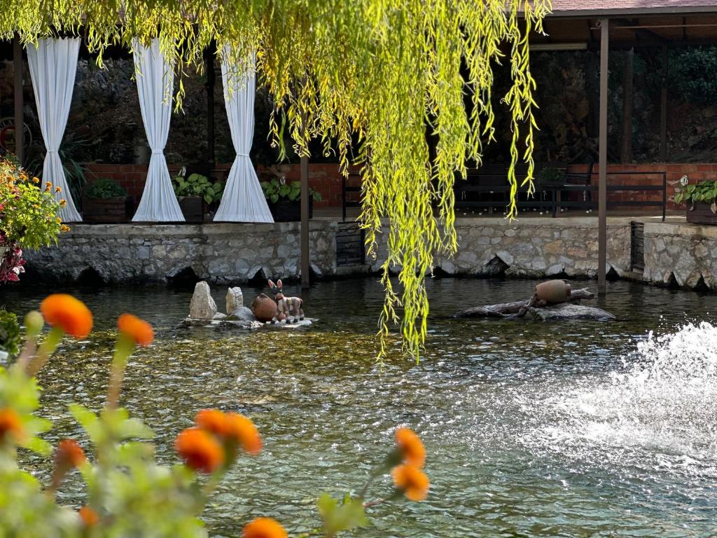 Fotografie z fotogalerie ubytování Rritja e Koranit v destinaci Pogradec