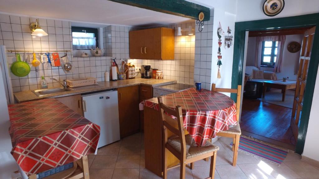 Kuchyň nebo kuchyňský kout v ubytování Rozika guesthouse - Sukoró
