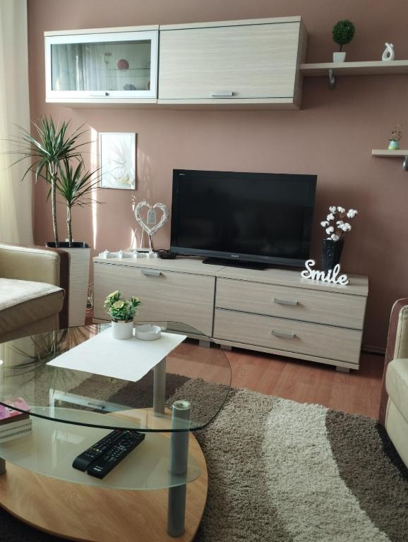 TV a/nebo společenská místnost v ubytování Apartman Unac