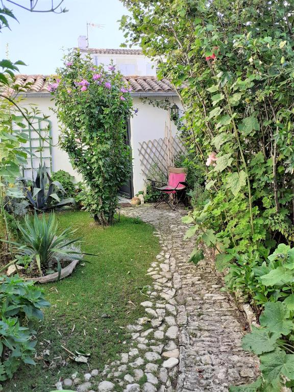 un jardin avec un chemin de pierre menant à une maison dans l'établissement ile de Ré maison, à La Couarde-sur-Mer