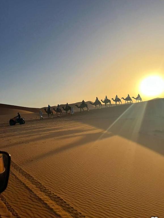 a group of people riding camels in the desert at Bright Star Desert Camp in Merzouga