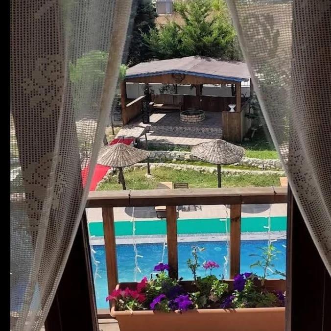 Příroda nedaleko hotelu