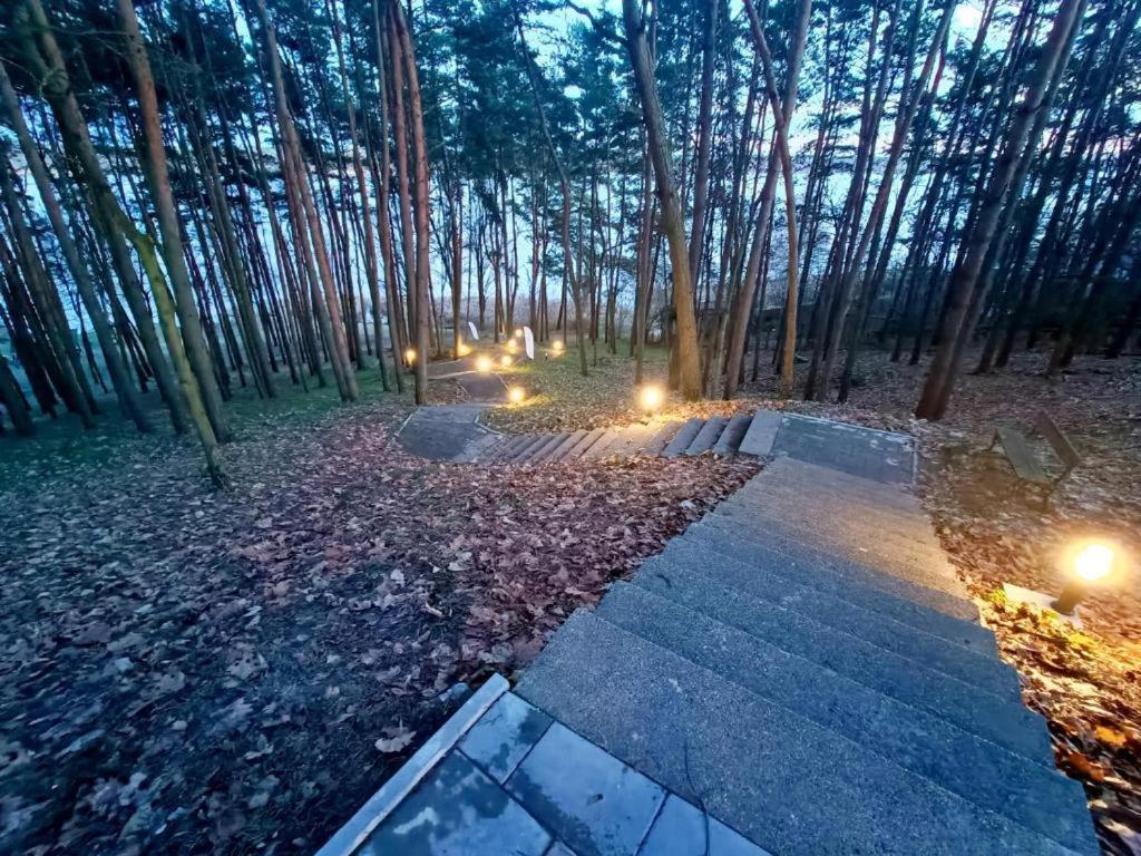a path in the woods with lights on it at Apartament nad Zalewem in Serock