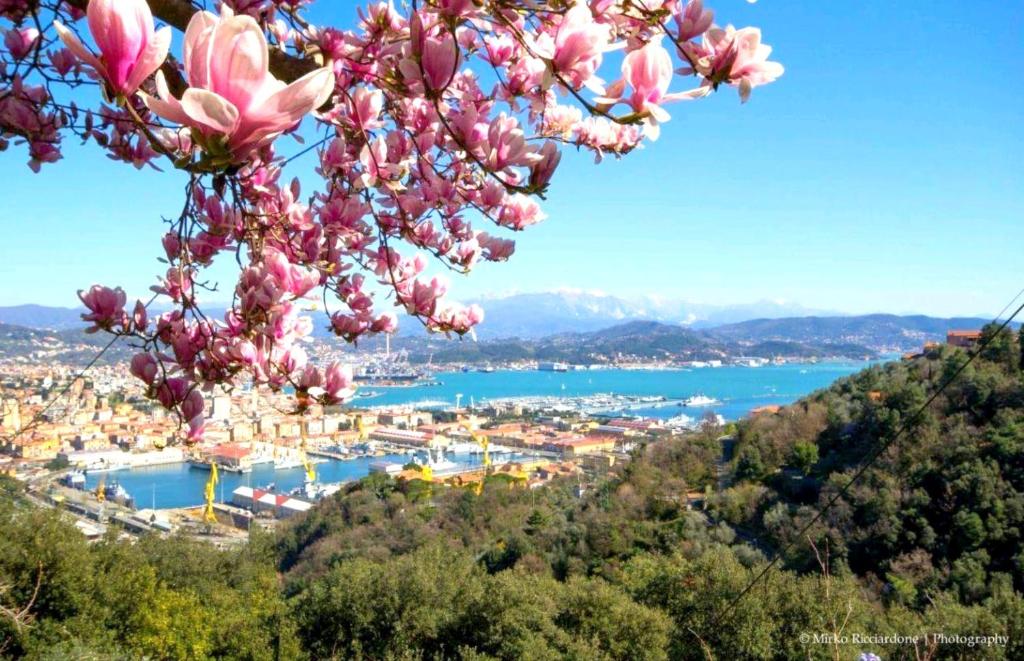 a view of a harbor with pink flowers on a tree at CASA TARTARUGA in La Spezia