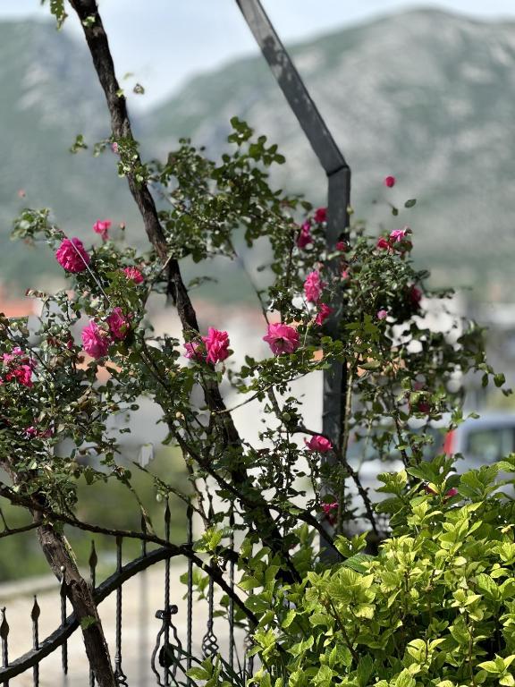 Pogled na planinu ili pogled na planinu iz apartmana