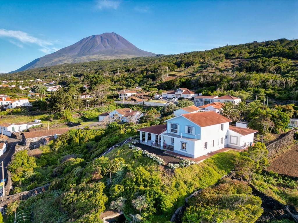 a house on a hill with a mountain in the background at The Blue Eden in São João