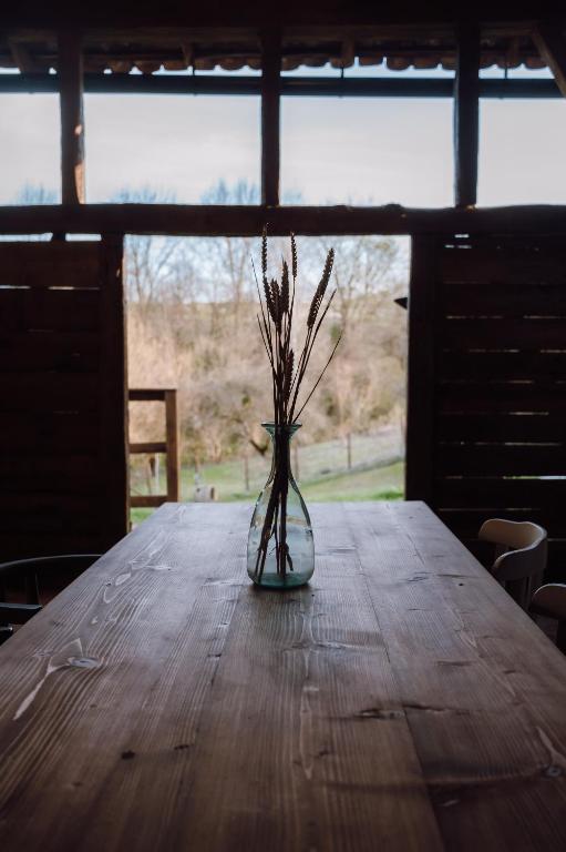 Fotografie z fotogalerie ubytování Abod Retreat v destinaci Abud