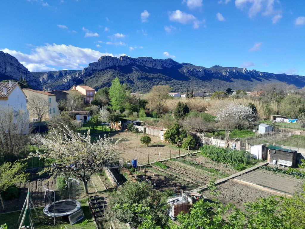 una vista panorámica de un jardín con montañas en el fondo en hOMe-Shanti Galamus en Saint-Paul-de-Fenouillet
