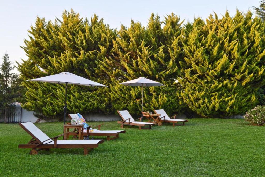 grupa leżaków i parasoli na trawie w obiekcie Villa John Dimeon Kato Achaia With Pool - Happy Rentals w mieście Patras