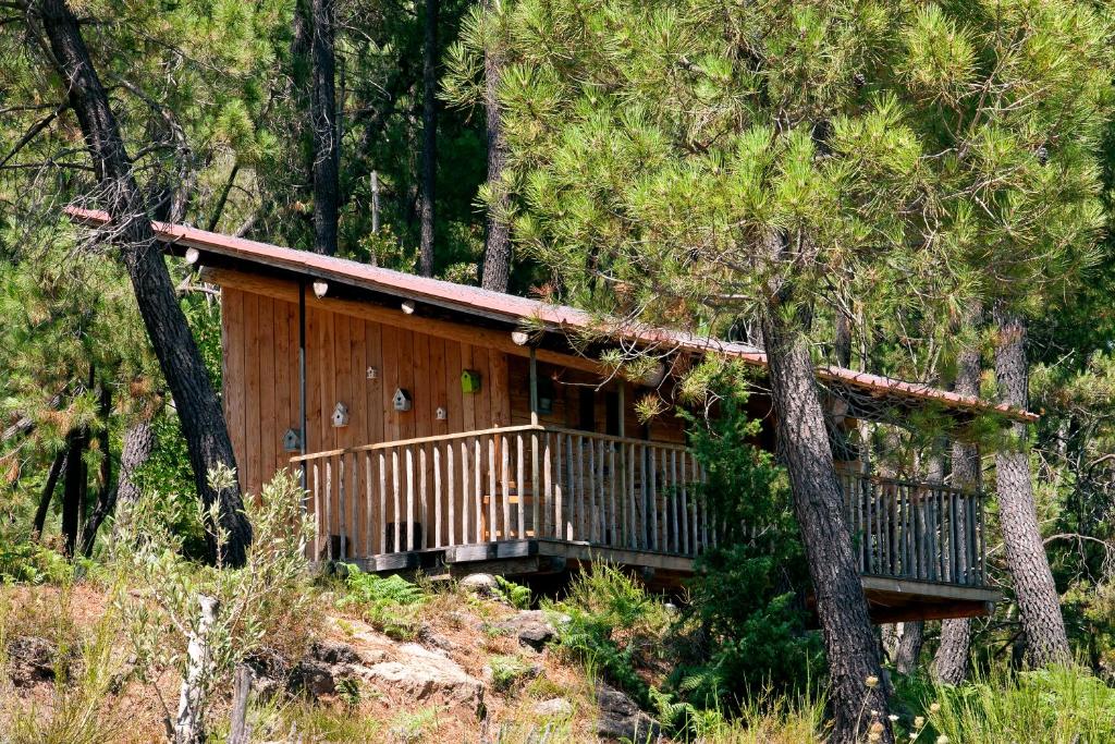 Auberge de la Tour de Brison - Cabin
