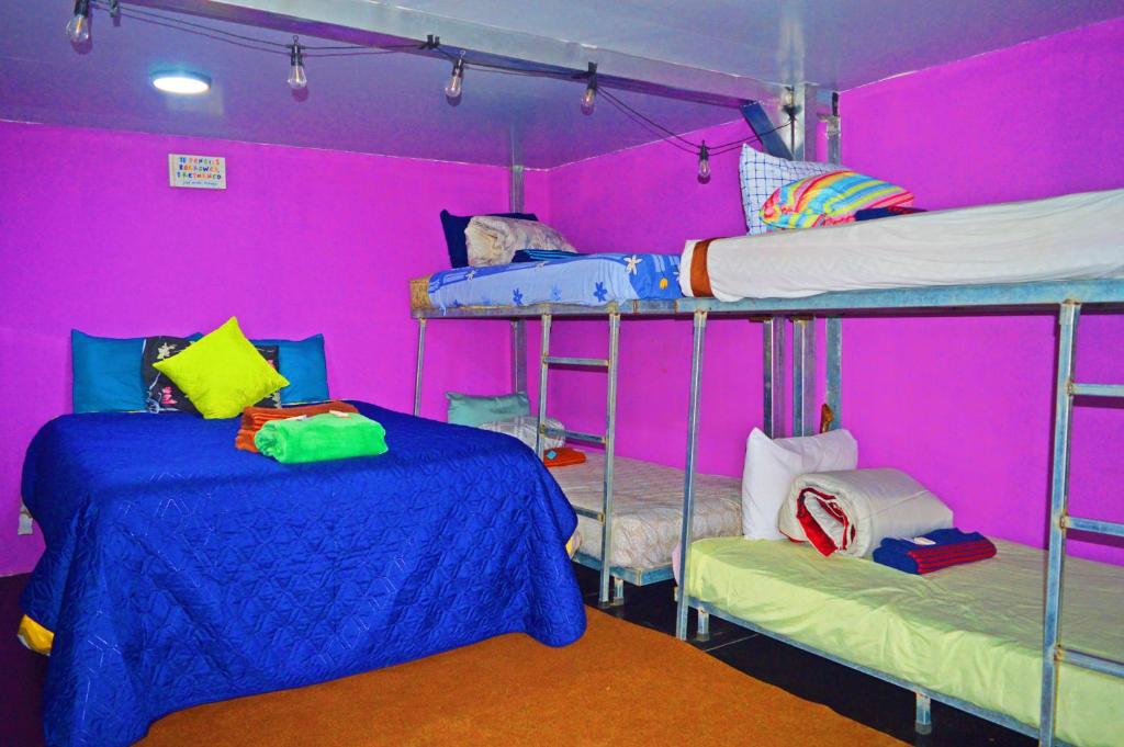 2 Etagenbetten in einem Zimmer mit rosa Wänden in der Unterkunft Mundo Abu San Juan La laguna in San Juan La Laguna