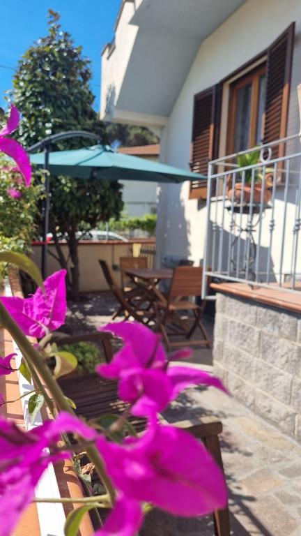 a purple flower in front of a house at A casa di Gina in Rosignano Solvay